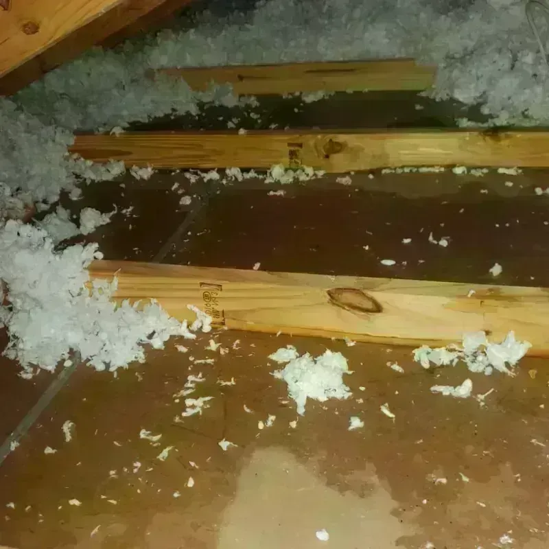 Attic Water Damage in Krugerville, TX