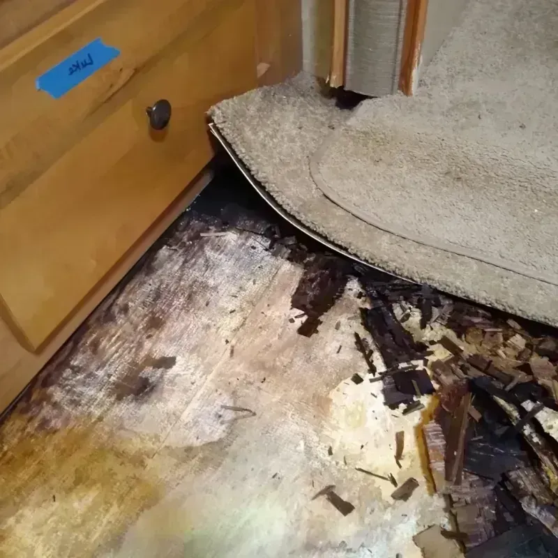 Wood Floor Water Damage in Krugerville, TX